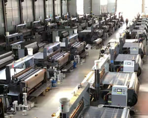 華爾特簡介 華爾特簡介